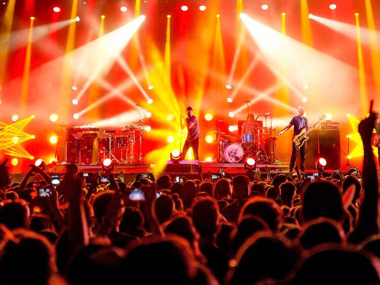 🎵 Music & Concerts